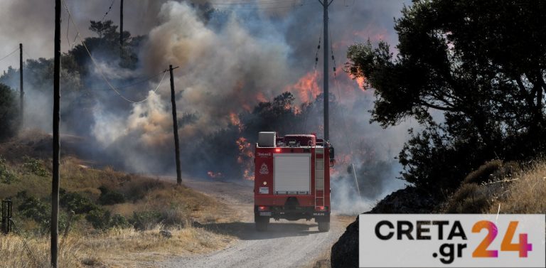 Φωτιά στα δάση: Αυτό το καταστροφικό «κοκτέιλ» κάνει στάχτη χιλιάδες στρέμματα