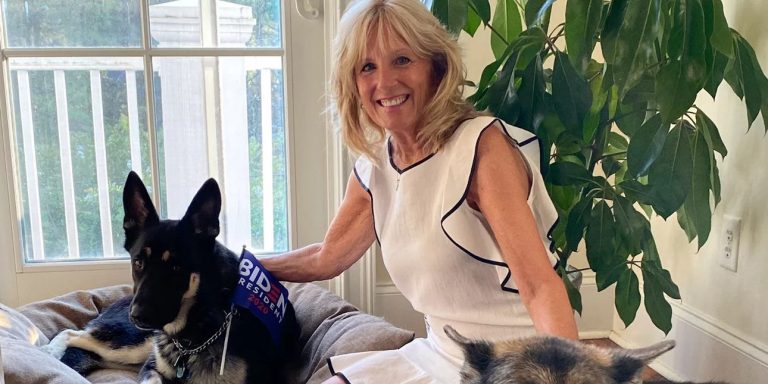 Θλίψη στους Μπάιντεν: Ανακοίνωσαν τον θάνατο του «πρώτου σκύλου» Τσαμπ