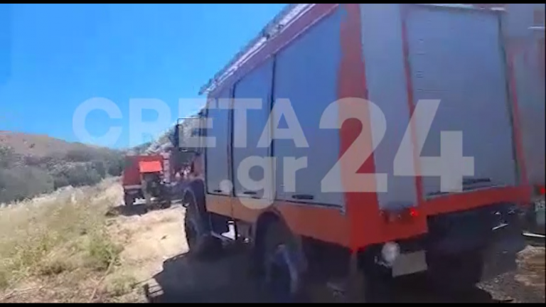 Στάχτες και αποκαΐδια από τη φωτιά στο Ηράκλειο (βίντεο)