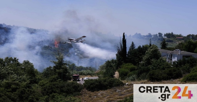 Φωτιά στην Εύβοια: Μήνυμα από το 112 – «Απομακρυνθείτε αμέσως»