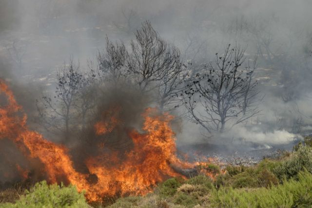 Μάχη με τις φλόγες στο Καλέντζι Κορινθίας – Μεγάλη κινητοποίηση της Πυροσβεστικής