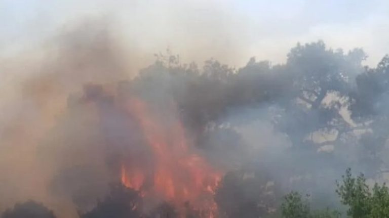 Φωτιά στην Κόρινθο: Μαίνεται ανεξέλεγκτη η «πύρινη λαίλαπα»