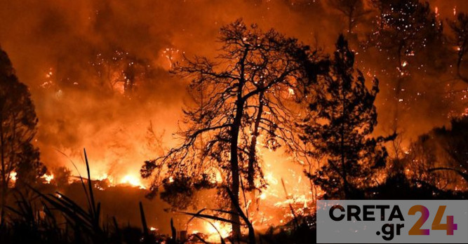 Ζερεφός: Δεν είδαμε ακόμα μεγάλες πυρκαγιές… Εκατοντάδες τόνοι ξύλα «μπουρλότο» στη χώρα