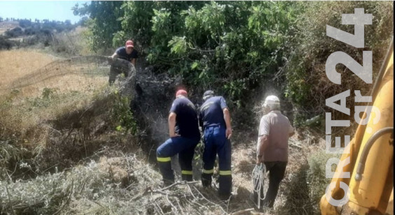 Ηράκλειο: Επιχείρηση της Πυροσβεστικής για κατσίκα που έπεσε σε πηγάδι (εικόνες)