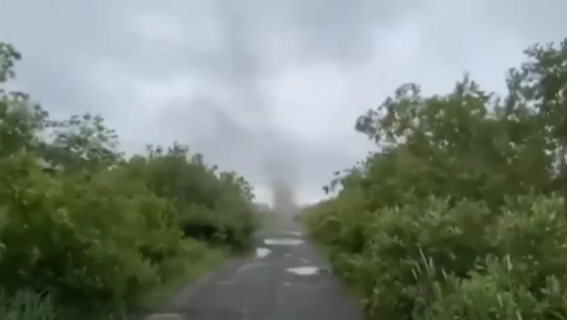 Τεράστιοι ανεμοστρόβιλοι από σμήνη κουνουπιών καλύπτουν τον ουρανό στη Ρωσία (βίντεο)