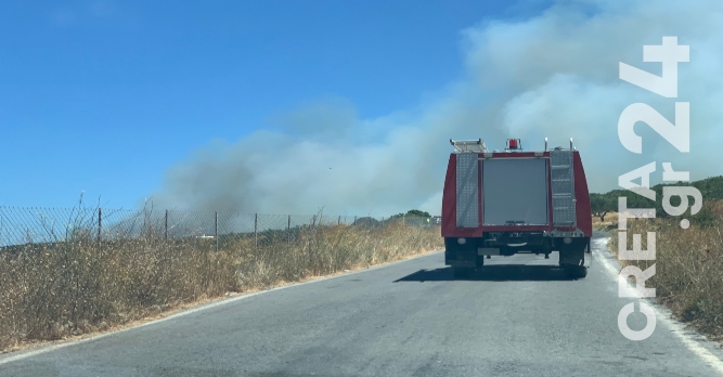 Στη μάχη με τις φλόγες εθελοντές, Ερυθρός Σταυρός, τρακτέρ και… αντιδήμαρχοι