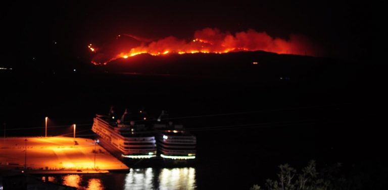 Φωτιά στη Φωκίδα: Περιορίστηκε το πύρινο μέτωπο