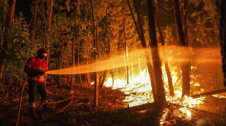 Γαλλία: Μαίνεται η φωτιά κοντά στο Σεν Τροπέ -Ολονύχτια η μάχη των πυροσβεστών με τις φλόγες