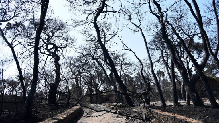 Φωτιά Αχαΐα: Δορυφορική εικόνα από τα χιλιάδες καμένα στρέμματα