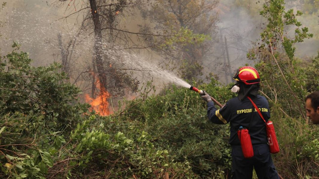 Σε εξέλιξη πυρκαγιά στη Χαλκιδική
