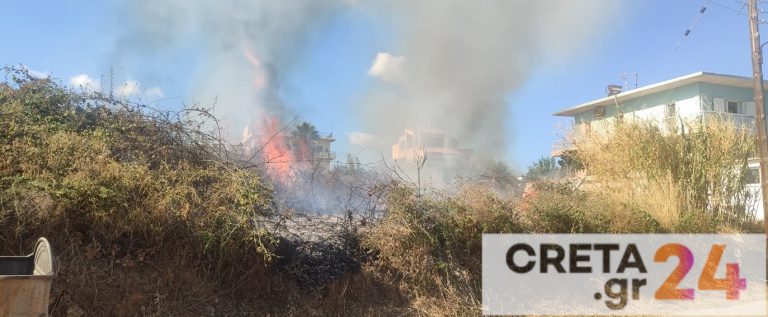 Εύβοια: Φωτιά στον Αετό Καρύστου – Ισχυροί άνεμοι στην περιοχή