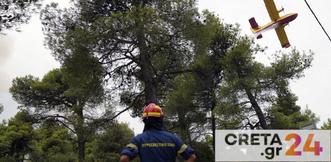 Φωτιά Εύβοια: SOS από αντιπεριφερειάρχη και κατοίκους – «Καλπάζουν» προς Ιστιαία οι φλόγες
