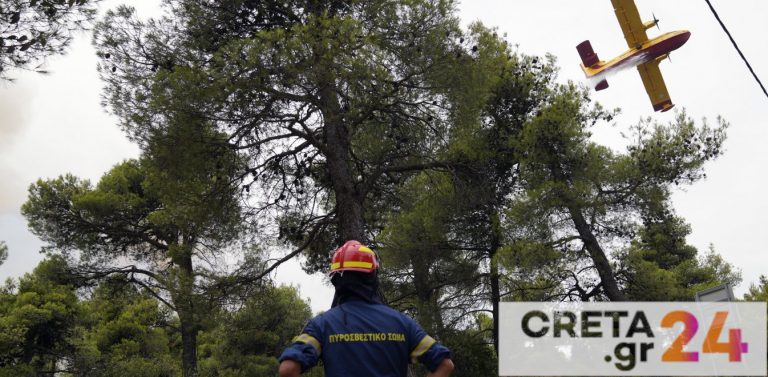 Φωτιά Εύβοια: SOS από αντιπεριφερειάρχη και κατοίκους – «Καλπάζουν» προς Ιστιαία οι φλόγες