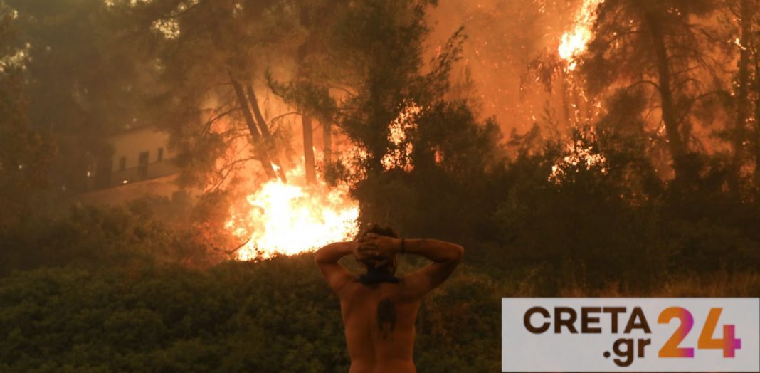 Φωτιά Εύβοια: «Χάθηκαν οι κόποι μιας ζωής» – Συγκλονίζει πυρόπληκτος