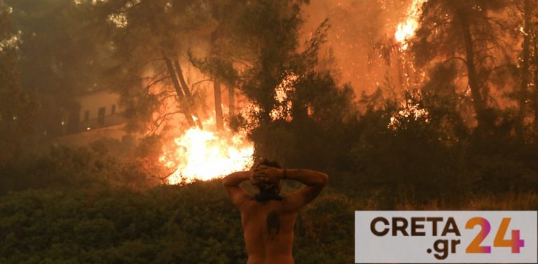 Φωτιά Εύβοια: «Χάθηκαν οι κόποι μιας ζωής» – Συγκλονίζει πυρόπληκτος