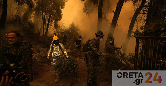 To 1/3 των δασών της Εύβοιας κάηκε από την πρόσφατη πυρκαγιά