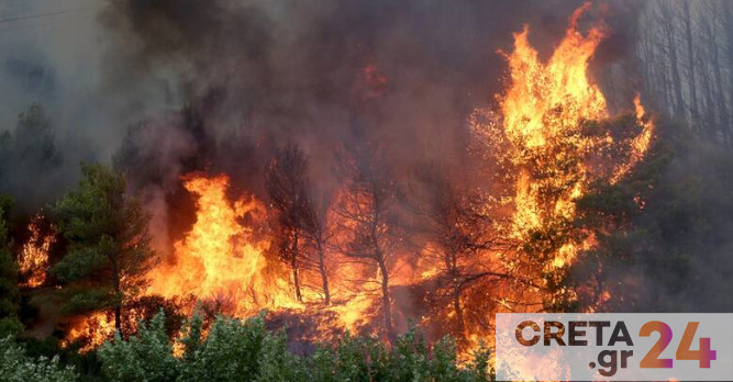 Βασιλακόπουλος για φωτιές: Οδηγίες για όσους νιώσουν δυσφορία