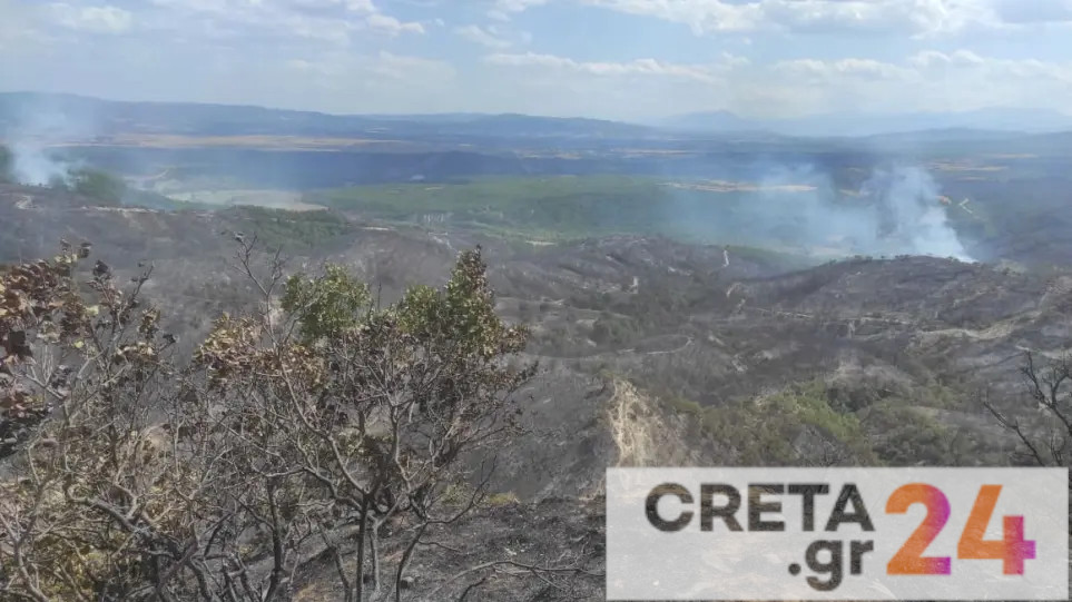 Φωτιά στα Γρεβενά: Ελεγχόμενη η κατάσταση στα Βέντζια – Επιστρέφουν οι κάτοικοι στα σπίτια τους