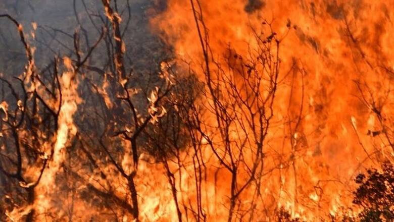 Μήνυμα 112 για την φωτιά στην Ηλεία: Εκκενώνονται ο Δούκας και οι Μηλιές