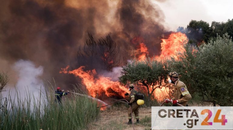 Φωτιά στην Ηλεία – Συγκλονιστική μαρτυρία: «Ήμασταν εγκλωβισμένοι για 1,5 ώρα»