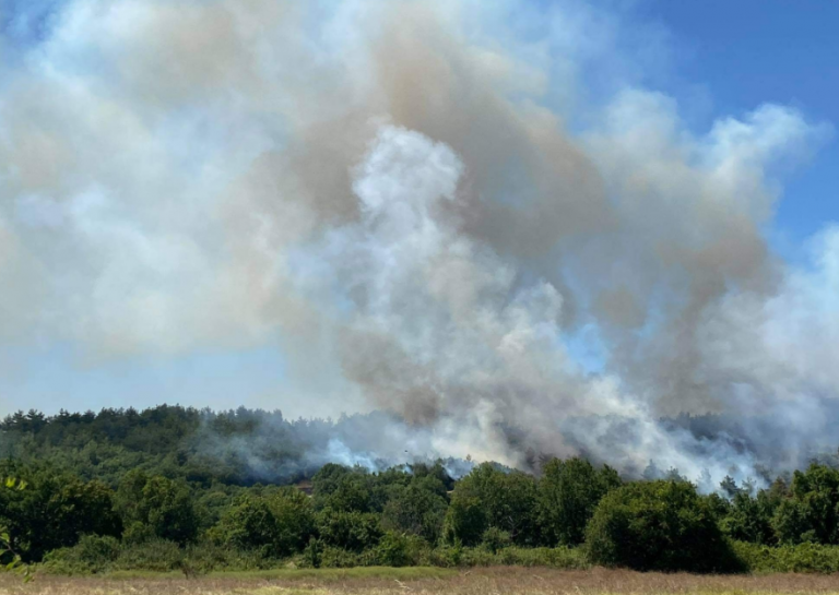 Φωτιά σε γεωργική έκταση στην περιοχή Μαρκόπουλο Ηλείας