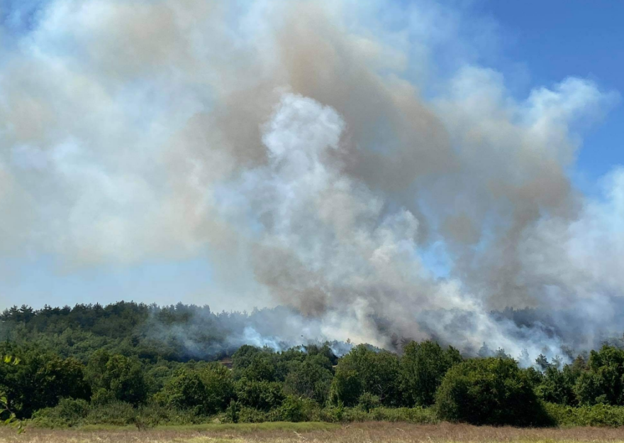 Νυμφαία Κομοτηνής: Σε ύφεση η φωτιά που καίει σε δασική περιοχή
