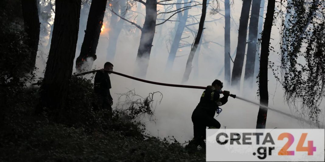 Φωτιά Εύβοια: Προσαγωγή ενός υπόπτου για εμπρησμό στο Ασμήνιο