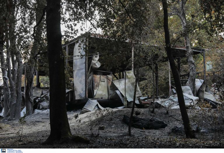 Τατόι: Τεράστια καταστροφή στο κτήμα των Βασιλικών Ανακτόρων (εικόνες)