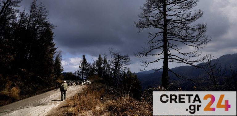 Φωτιά στην Εύβοια – Μαρτυρίες από τις δραματικές ώρες: «Γεμίσαμε με τζιπ, αλλά τα πυροσβεστικά σβήνουν φωτιές»