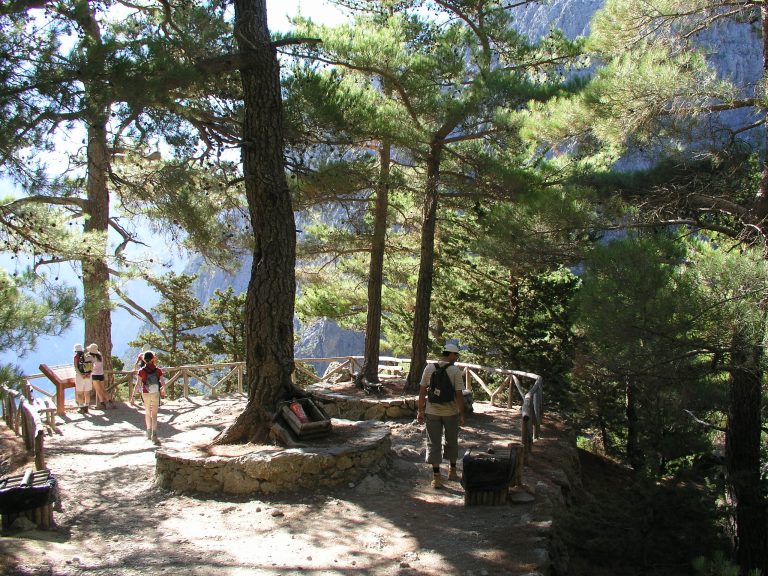 Πυρκαγιές: Παρατείνονται τα έκτακτα μέτρα και στην Κρήτη