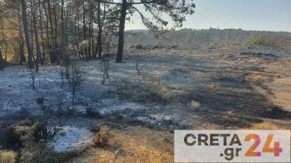 Συνελήφθη 57χρονη για τρεις περιπτώσεις εμπρησμού – Μεταφέρθηκε σε ψυχιατρική κλινική