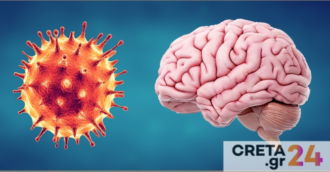 Οι επιπτώσεις του κορωνοϊού στον εγκέφαλο – Επιστημονικά «άλματα» στον τομέα των νευροεπιστημών
