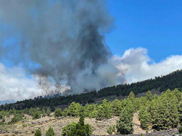 Volcano erupts on Spanish island of La Palma