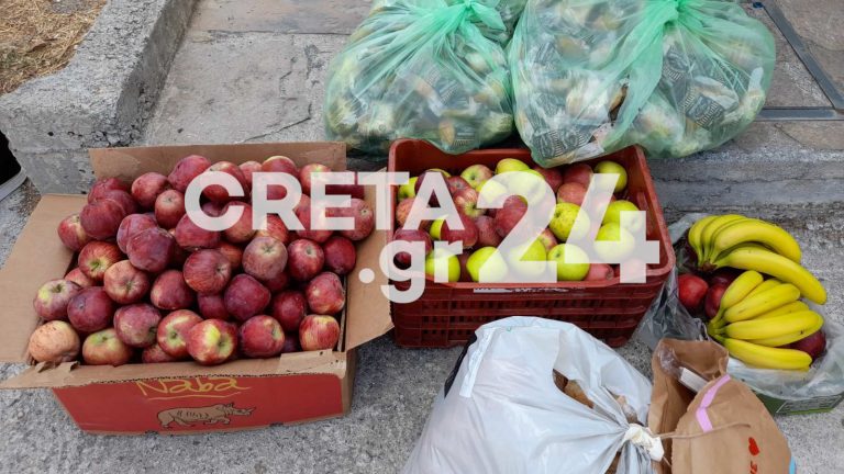 Ελλειψη τροφίμων: Πόσο δίκιο έχουν όσοι αποθηκεύουν είδη πρώτης ανάγκης στα σπίτια τους;