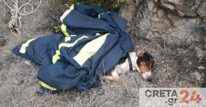 Σκύλος έπεσε σε πηγάδι 20 μέτρων – Σώθηκε από την ΕΜΑΚ