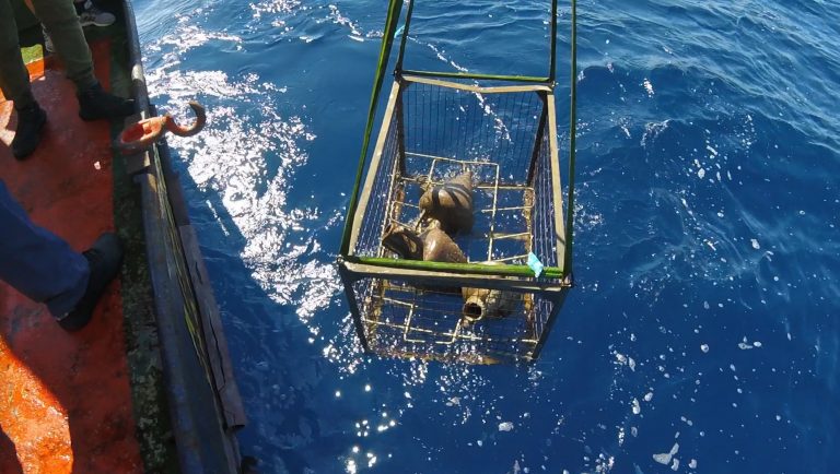 Αρχαίο ναυάγιο στα Κύθηρα έφερε στο φως η ηλεκτρική διασύνδεση Κρήτης – Πελοποννήσου