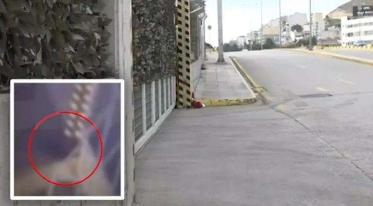 Σοκάρει η ιατροδικαστική έκθεση για τον θάνατο της 8χρονης – Τα αναπάντητα ερωτήματα