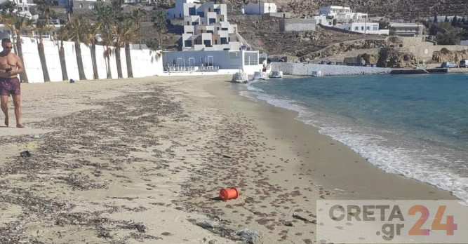 Χιλιάδες τσούχτρες γέμισαν τις παραλίες