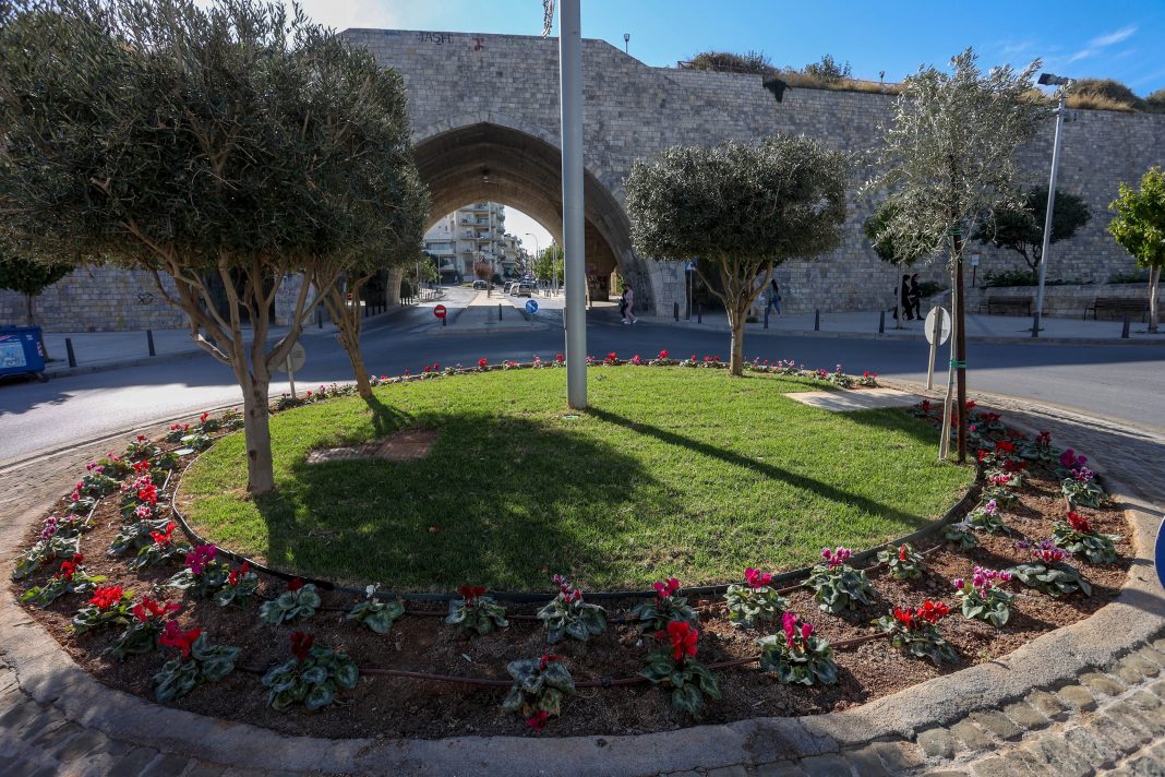 Αναβάθμιση αστικού πρασίνου στο Ηράκλειο – Νέες φυτεύσεις (εικόνες)