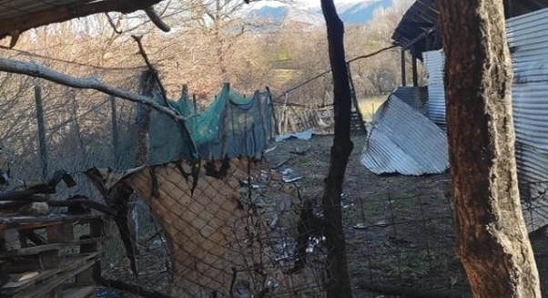 Φωτιά σε κτηνοτροφική μονάδα έκαψε ζωντανά 250 αιγοπρόβατα