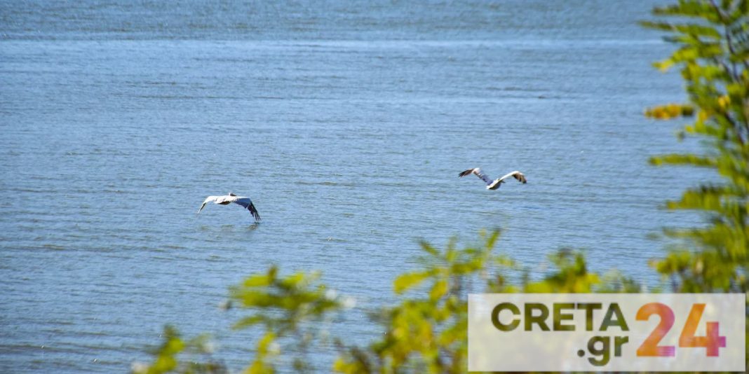 Σκρέκας: Σε Κρήτη, Θράκη και Πελοπόννησο οι πρώτες περιβαλλοντικές μελέτες για τις Νatura 2000