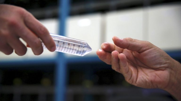 Ιστορικό υψηλό: Ο υδράργυρος έδειξε 50,7 βαθμούς Κελσίου στην Αυστραλία