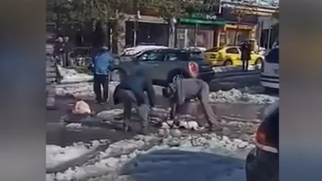 Σκυλάκι έπαθε ηλεκτροπληξία από πεσμένα καλώδια