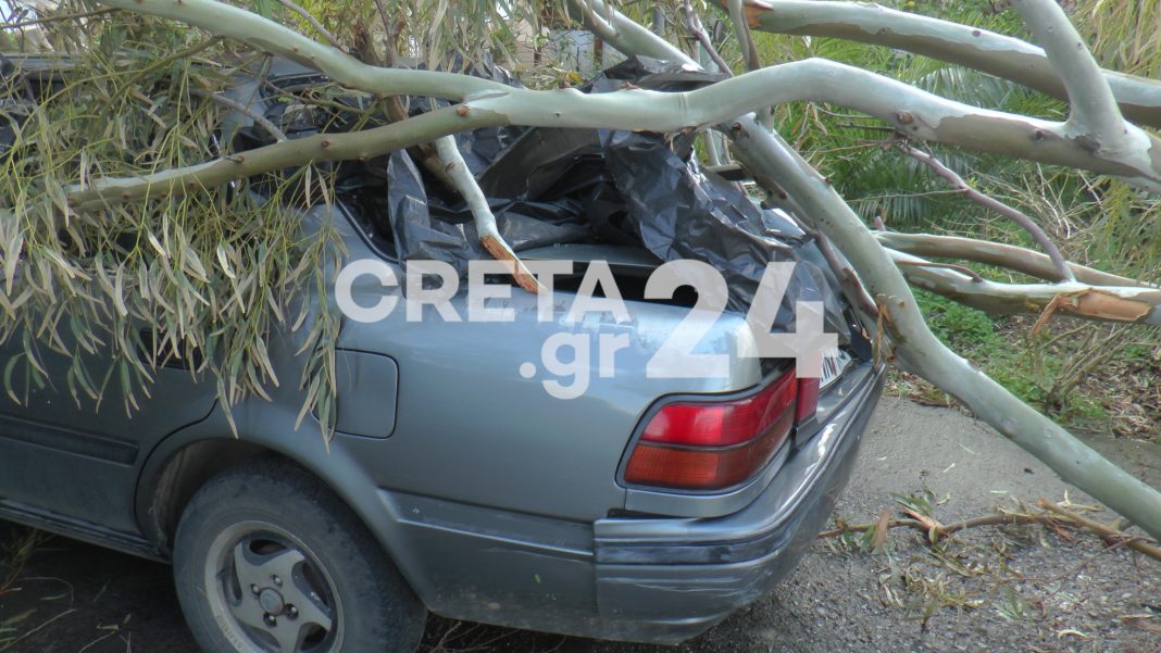 Κρήτη: Ανεμοστρόβιλος ξερίζωσε δέντρα και κατέστρεψε αυτοκίνητο (εικόνες)