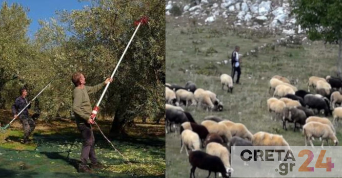 Αγρότες (και) στην Κρήτη βγάζουν στο… σφυρί την περιουσία τους για να μπορέσουν να επιβιώσουν