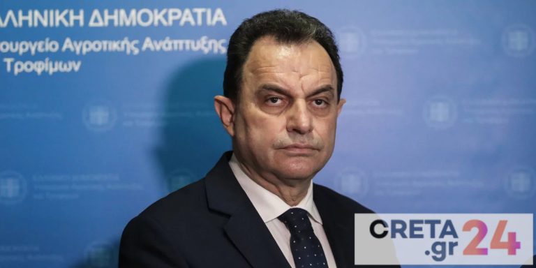 Γεωργαντάς: Δεν υπάρχει ζήτημα επάρκειας στα ράφια – Εικονικές ελλείψεις στο ηλιέλαιο