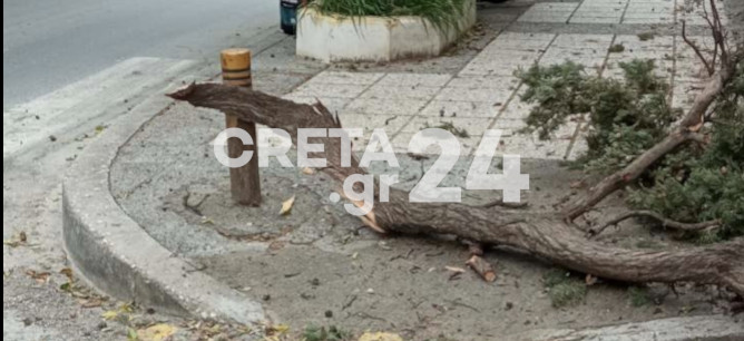 Ηράκλειο: Κλαδί δέντρου έπεσε σε πεζοδρόμιο – Από τύχη γλίτωσε περαστικός