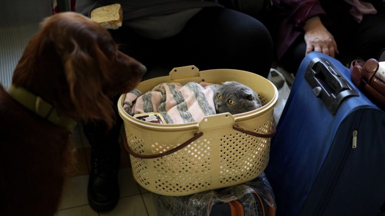 Υπ. Προστασίας Πολίτη: 671 Ουκρανοί πρόσφυγες εισήλθαν στην Ελλάδα το Σάββατο, ανήλικοι οι 228