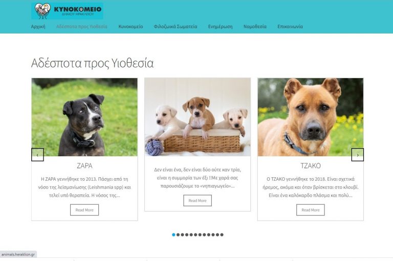 Οι τετράποδοι φίλοι του δήμου Ηρακλείου τώρα και online!