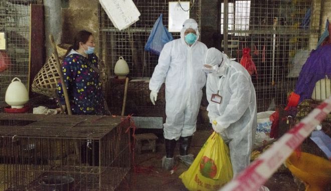 Νέος ιός στην Κίνα: Μεταδίδεται από ζώα στον άνθρωπο – 35 κρούσματα με συμπτώματα γρίπης